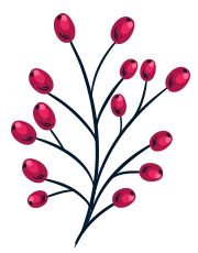 Spring Cleaning - Sparklean Cleaning Services Massachusetts