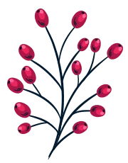 Spring Cleaning - Sparklean Cleaning Services Massachusetts