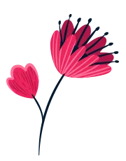 Spring Cleaning - Sparklean Cleaning Services Massachusetts