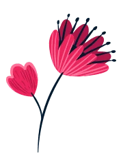 Spring Cleaning - Sparklean Cleaning Services Massachusetts