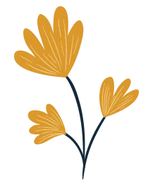 Spring Cleaning - Sparklean Cleaning Services Massachusetts