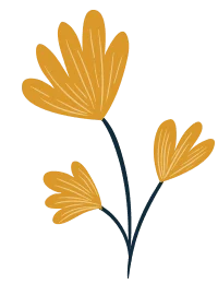 Spring Cleaning - Sparklean Cleaning Services Massachusetts