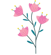 Spring Cleaning - Sparklean Cleaning Services Massachusetts