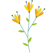 Spring Cleaning - Sparklean Cleaning Services Massachusetts