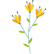 Spring Cleaning - Sparklean Cleaning Services Massachusetts