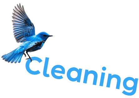 Spring Cleaning - Sparklean Cleaning Services Massachusetts