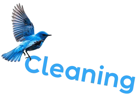 Spring Cleaning - Sparklean Cleaning Services Massachusetts