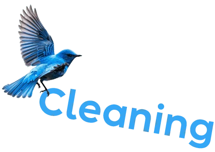Spring Cleaning - Sparklean Cleaning Services Massachusetts