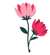 Spring Cleaning - Sparklean Cleaning Services Massachusetts