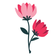 Spring Cleaning - Sparklean Cleaning Services Massachusetts