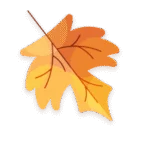 Fall into Freshness - Sparklean Cleaning Services