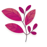 Fall into Freshness - Sparklean Cleaning Services