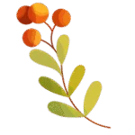 Fall into Freshness - Sparklean Cleaning Services