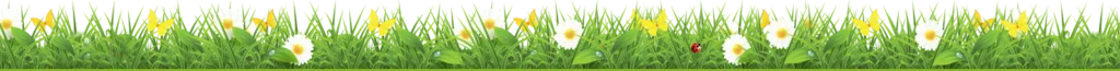 Spring Cleaning - Sparklean Cleaning Services Massachusetts