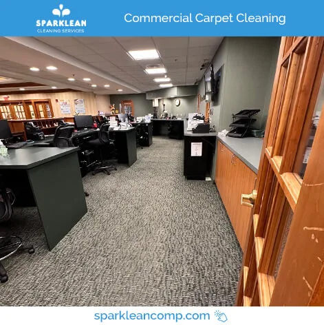 Commercial Carpet Cleaning - Sparklean Services